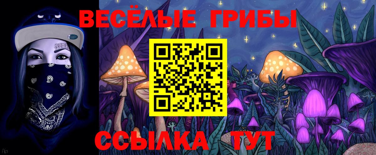 Псилоцибиновые грибы Cubensis Балтийск
